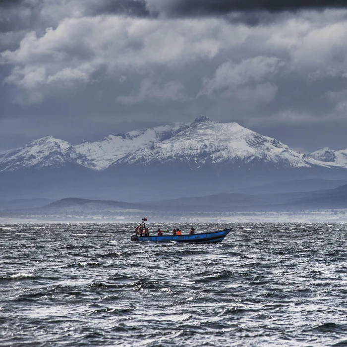 salmon farm in chile