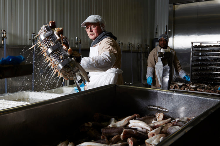 man scooping whiting for smoking