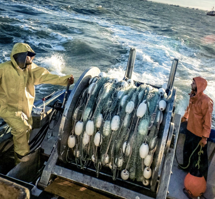smoked salmon fishermen