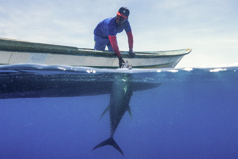 Smoked Tuna and Sustainability: A Story Worth Sharing