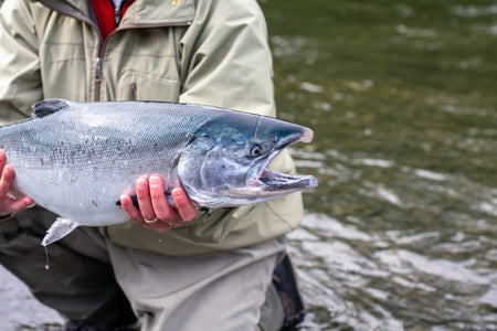 coho salmon for smoked salmon