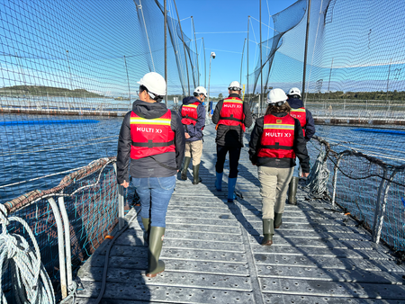From Egg to Table: A Look Inside Chile's Salmon Industry