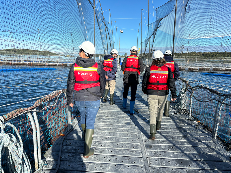 From Egg to Table: A Look Inside Chile's Salmon Industry