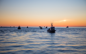 smoked salmon sustainability