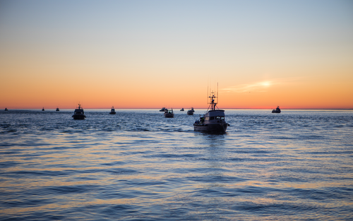 smoked salmon sustainability