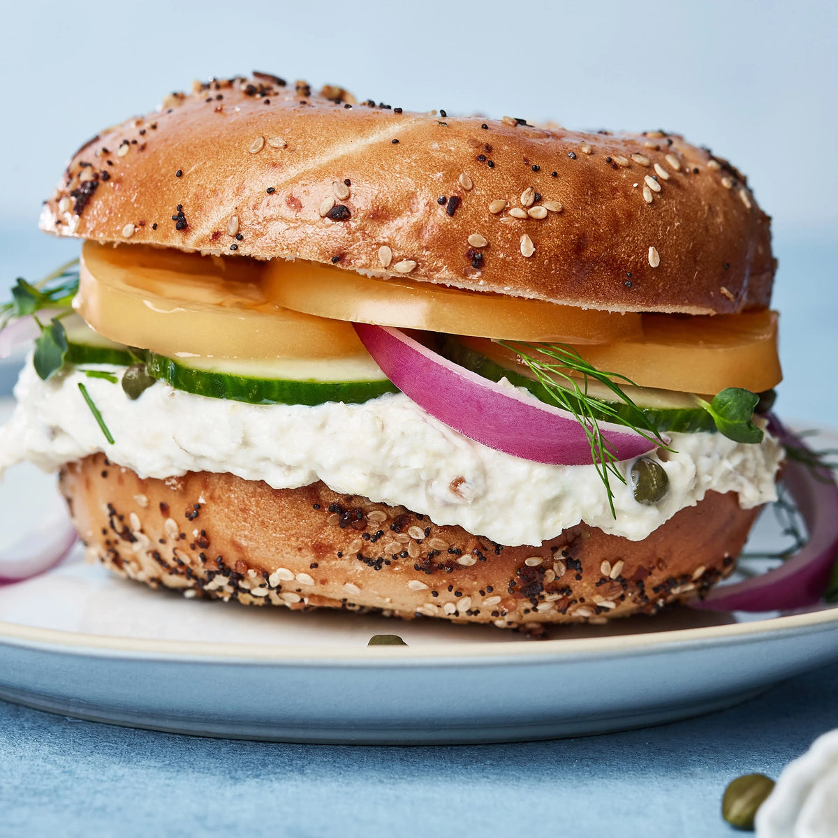 Smoked Whitefish Salad Bagel Acme Smoked Fish