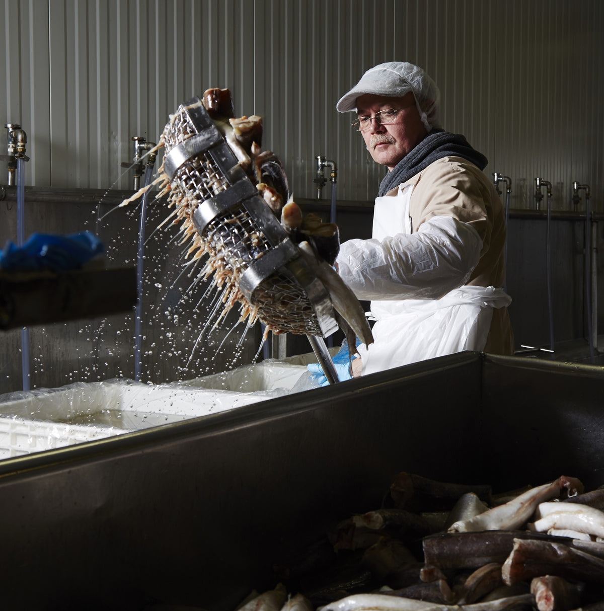 Fish Curing Process Our Smoked Fish - Curing - Acme Smoked Fish