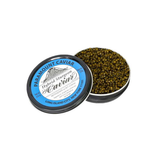 Hybrid-Sturgeon_grande.png?v=