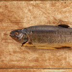 Acme Smoked Fish smoked trout